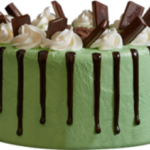 Mint Chocolate Meltdown Ice Cream Cake