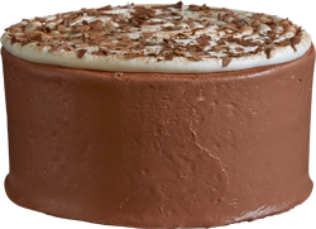 Mocha Cappuccino Fudge Ice Cream Cake